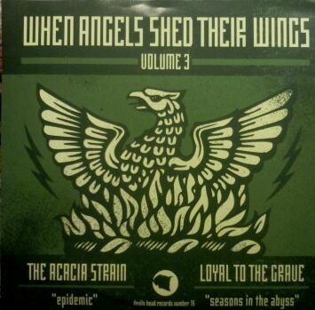 When Angels Shed Their Wings Volume 3