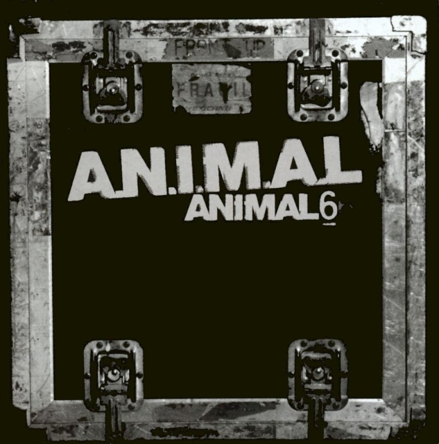 Animal 6