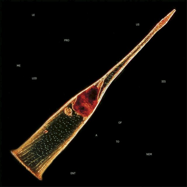 Melodies of Atonement