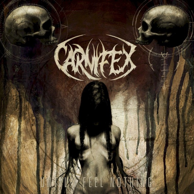 Until I Feel Nothing