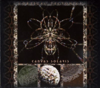 Album cover for Cortical Tectonics