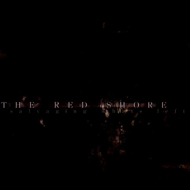 Salvaging What’s Left