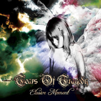 Album cover for Elusive Moment