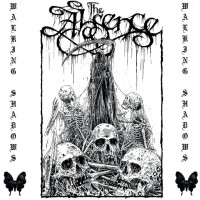 Album cover for Walking Shadows
