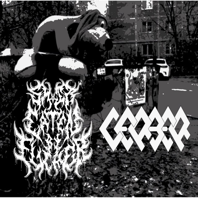 Descent Into Nothing