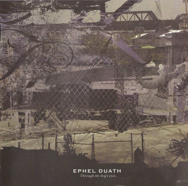 Through My Dog’s Eyes