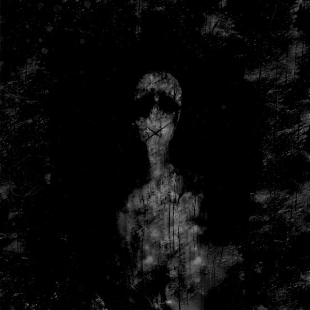 Willow (instrumental)