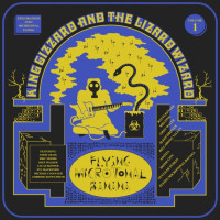 Album cover for Flying Microtonal Banana