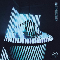 Album cover for In Darkne$$
