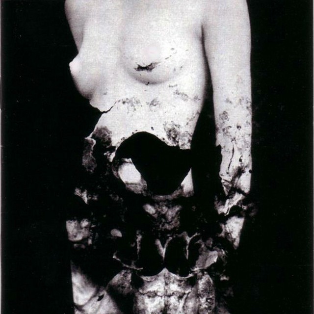 Profane fetmilch lenzt Elf Krank