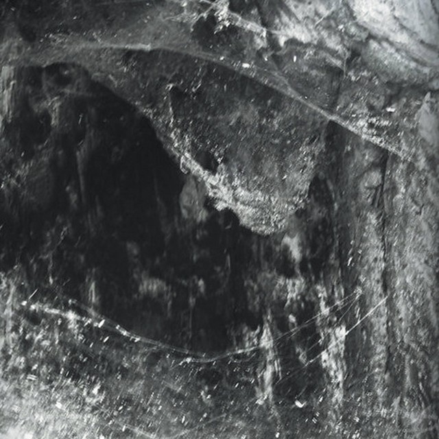 Novit enim Dominus qui sunt eius