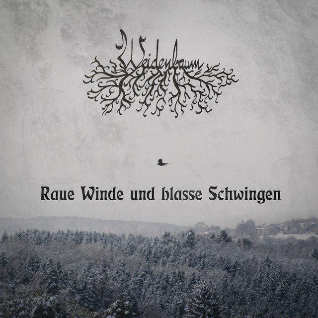 Raue Winde und blasse Schwingen