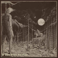 Album cover for A View From the Rope