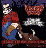 Album cover for Accumulation of Eviscerated Remnants