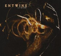 Album cover for Surrender