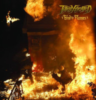 Feed the Flames