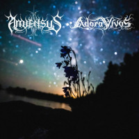 Album cover for Adora Vivos / Amiensus