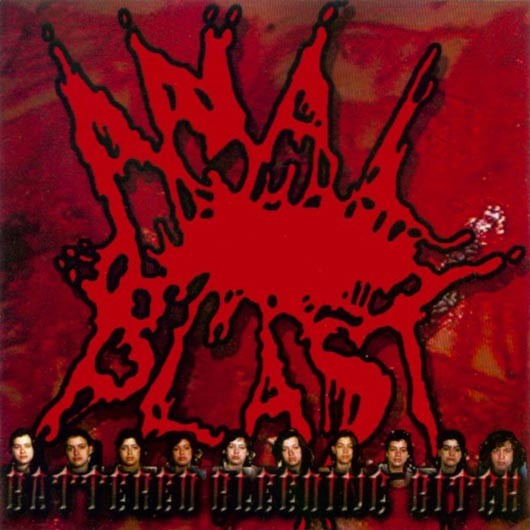 Battered Bleeding Bitch