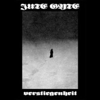 Album cover for Verstiegenheit