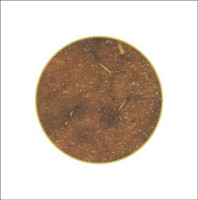 Album cover for Trinity