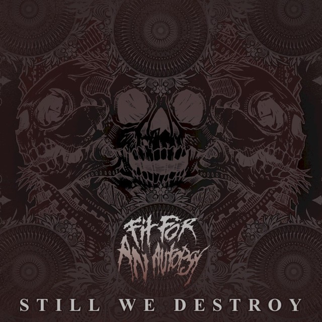 Still We Destroy