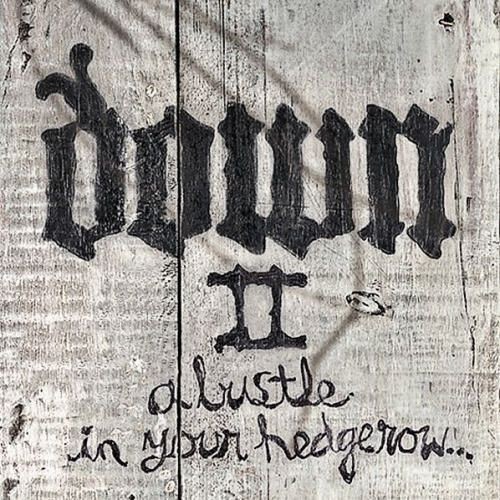 Down II: A Bustle in Your Hedgerow…