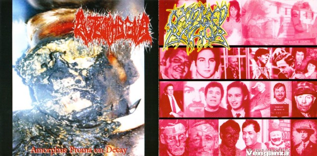 Venganza / Amorphus Ptoma on Decay