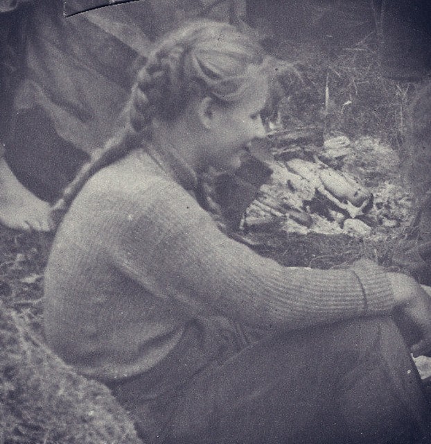 Dubinina Theme