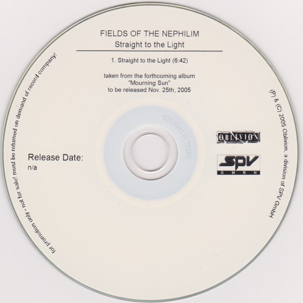 Straight to the Light