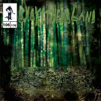 Album cover for Forest of Bamboo