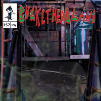 Album cover for Upside Down Skyway