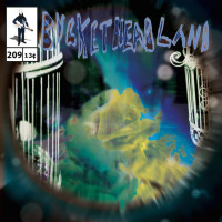 Album cover for Rooms of Illusions