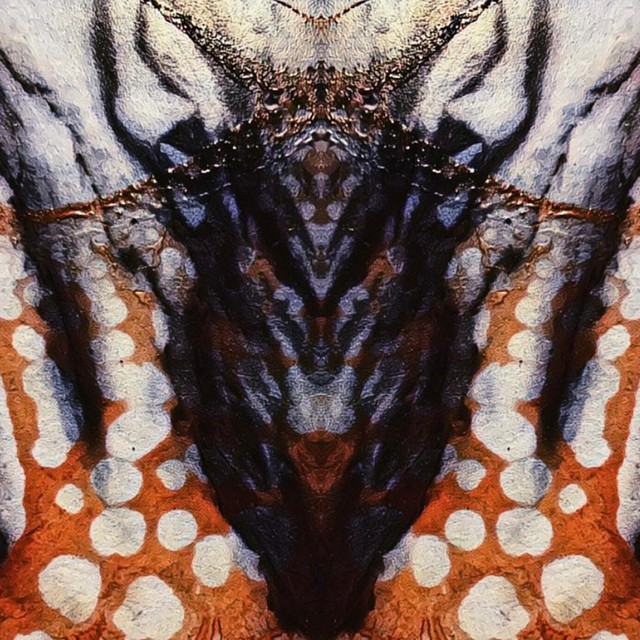 March Towards a Blackened Sun