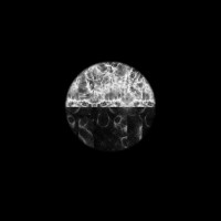 Album cover for Cultivate
