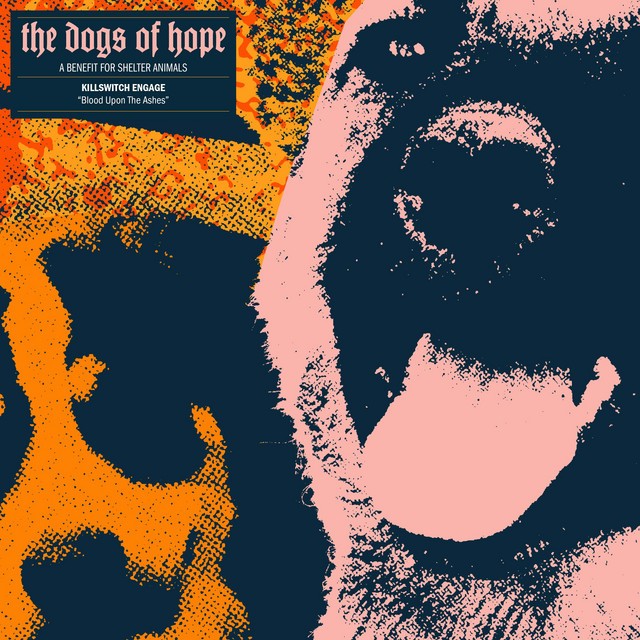 Blood Upon the Ashes