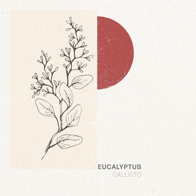 Eucalyptus