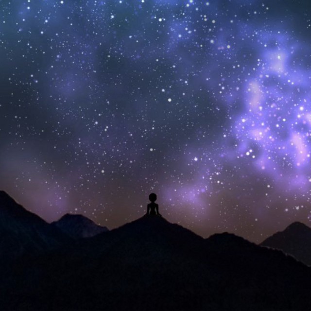 Stars In The Night Sky