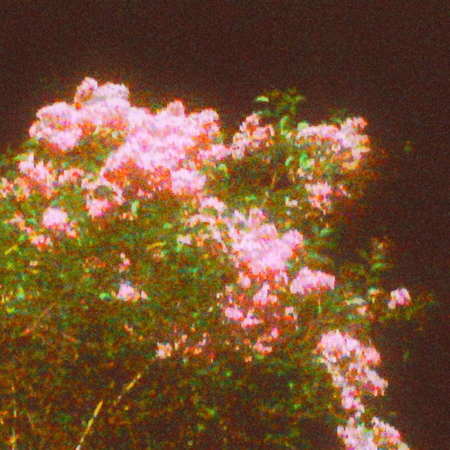 your perfect hands and my repeated words