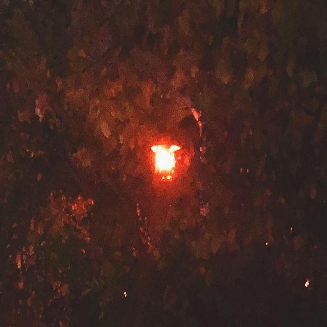 Within the Lightseam