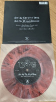 Album cover for The Great Dying