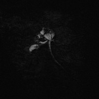 Album cover for Broken