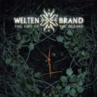 Album cover for The End of the Wizard