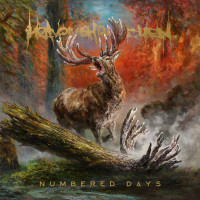 Album cover for Numbered Days