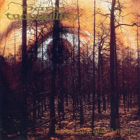 Album cover for Enter Suicidal Angels