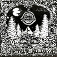 Album cover for A Moonclad Reflection