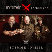 Album cover for Stimme in mir (Antisozial ICD-10 F60.2)