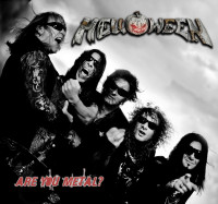 Album cover for Are You Metal?