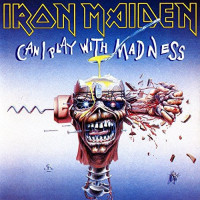 Album cover for Can I Play With Madness