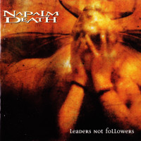 Album cover for Leaders Not Followers