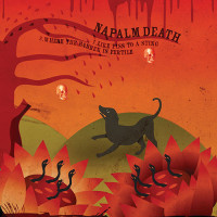 Album cover for Napalm Death / Melt‐Banana